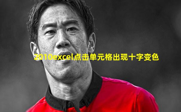 2010excel点击单元格出现十字变色