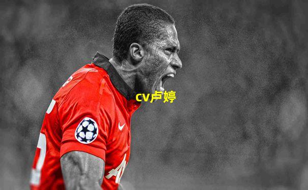 cv卢婷
