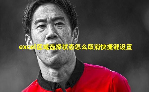 excel区域选择状态怎么取消快捷键设置