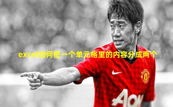 excel如何把一个单元格里的内容分成两个