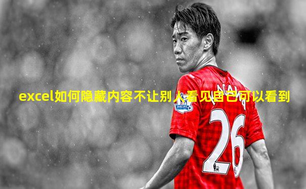 excel如何隐藏内容不让别人看见自己可以看到