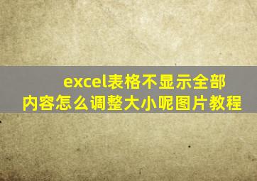 excel表格不显示全部内容怎么调整大小呢图片教程