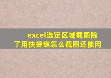 excel选定区域截图除了用快捷键怎么截图还能用