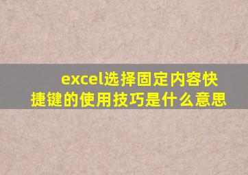 excel选择固定内容快捷键的使用技巧是什么意思
