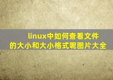 linux中如何查看文件的大小和大小格式呢图片大全