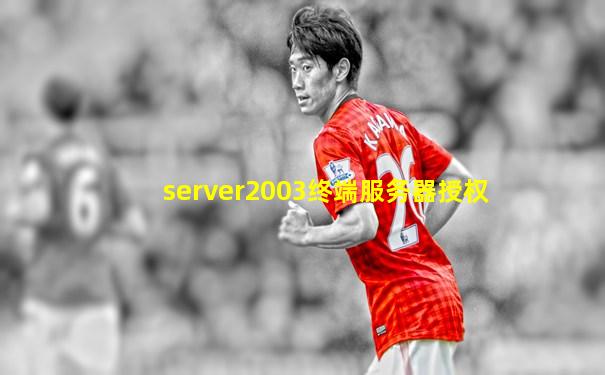server2003终端服务器授权