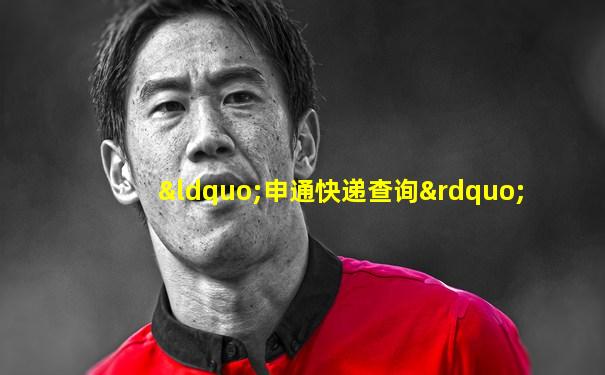 “申通快递查询”