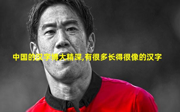 中国的汉字博大精深,有很多长得很像的汉字