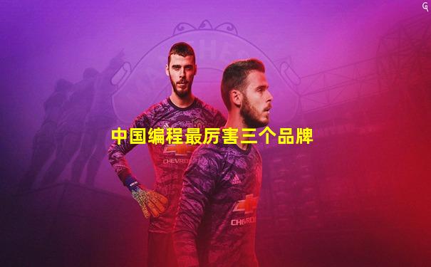 中国编程最厉害三个品牌