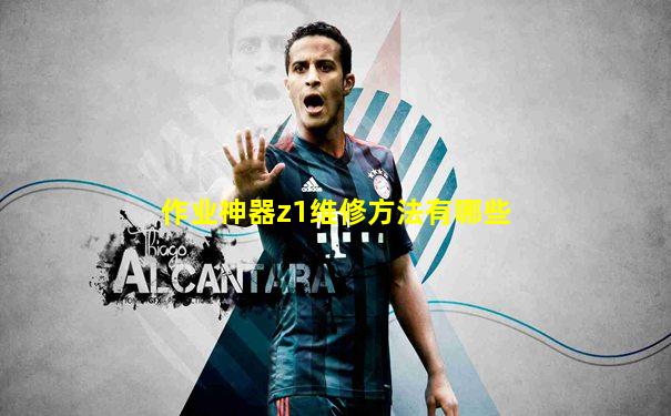 作业神器z1维修方法有哪些