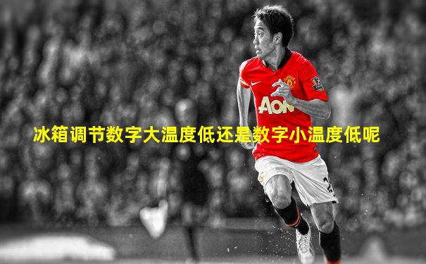 冰箱调节数字大温度低还是数字小温度低呢