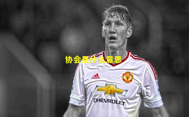 协会是什么意思