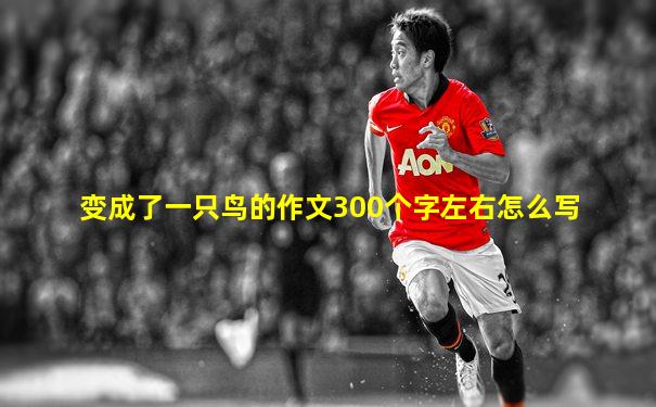变成了一只鸟的作文300个字左右怎么写