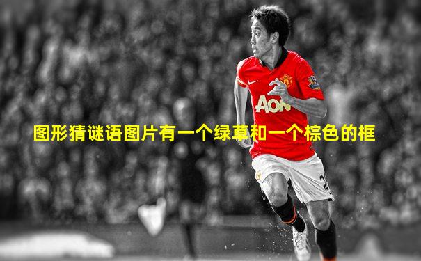 图形猜谜语图片有一个绿草和一个棕色的框