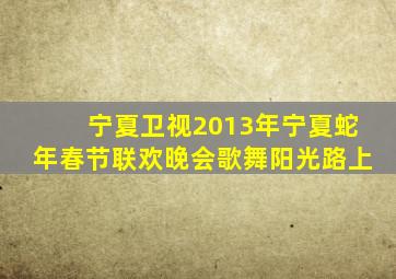 宁夏卫视2013年宁夏蛇年春节联欢晚会歌舞阳光路上