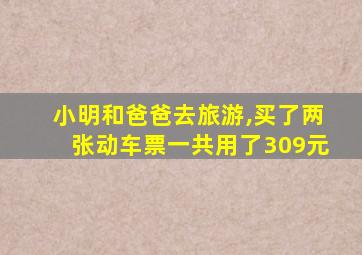 小明和爸爸去旅游,买了两张动车票一共用了309元