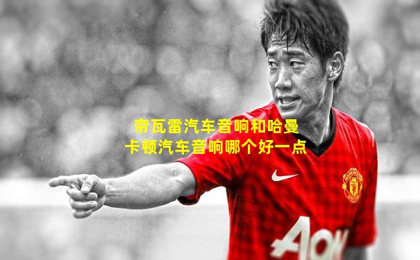 帝瓦雷汽车音响和哈曼卡顿汽车音响哪个好一点