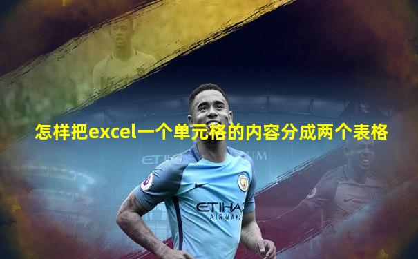 怎样把excel一个单元格的内容分成两个表格