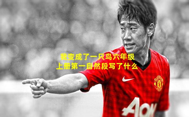 我变成了一只鸟六年级上册第一自然段写了什么