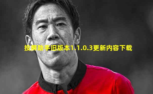 投屏助手旧版本1.1.0.3更新内容下载