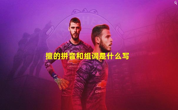 擅的拼音和组词是什么写