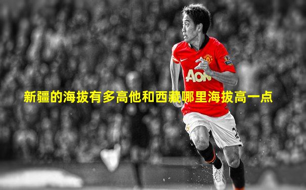 新疆的海拔有多高他和西藏哪里海拔高一点