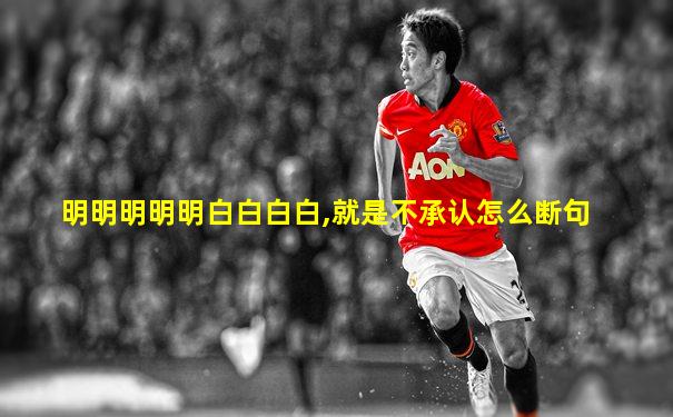 明明明明明白白白白,就是不承认怎么断句