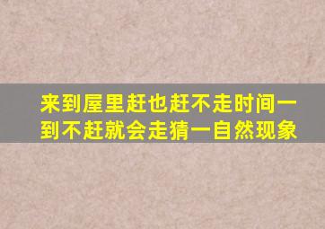 来到屋里赶也赶不走时间一到不赶就会走猜一自然现象