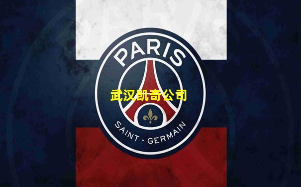 武汉凯奇公司