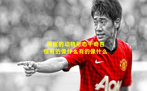 海底的动物形态千奇百怪有的像什么有的像什么