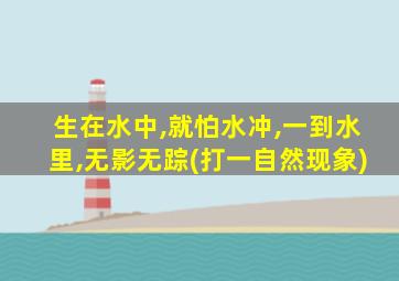 生在水中,就怕水冲,一到水里,无影无踪(打一自然现象)