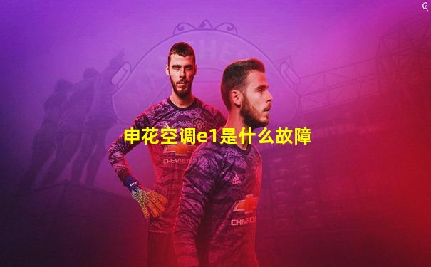 申花空调e1是什么故障