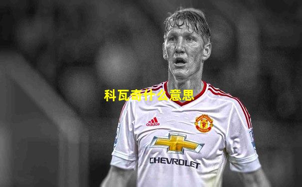 科瓦奇什么意思