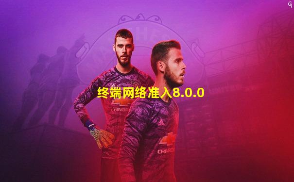 终端网络准入8.0.0