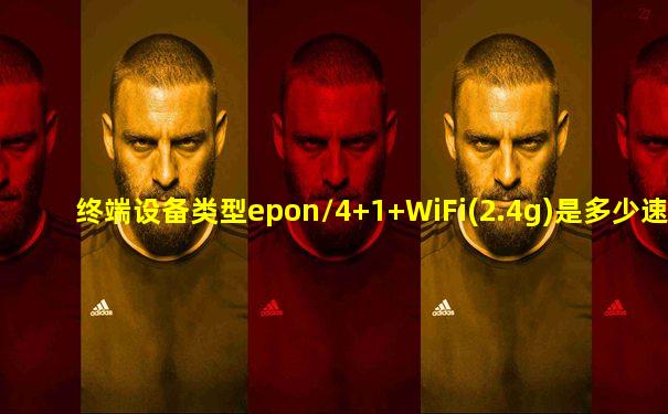 终端设备类型epon/4+1+WiFi(2.4g)是多少速度