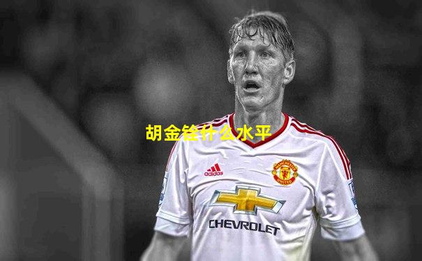 胡金铨什么水平