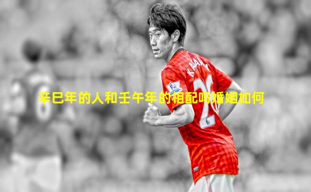 辛巳年的人和壬午年的相配吗婚姻如何