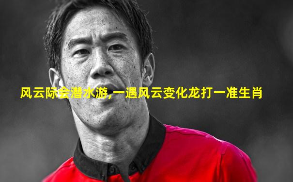 风云际会潜水游,一遇风云变化龙打一准生肖