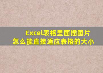 Excel表格里面插图片怎么能直接适应表格的大小