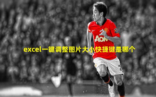 excel一键调整图片大小快捷键是哪个
