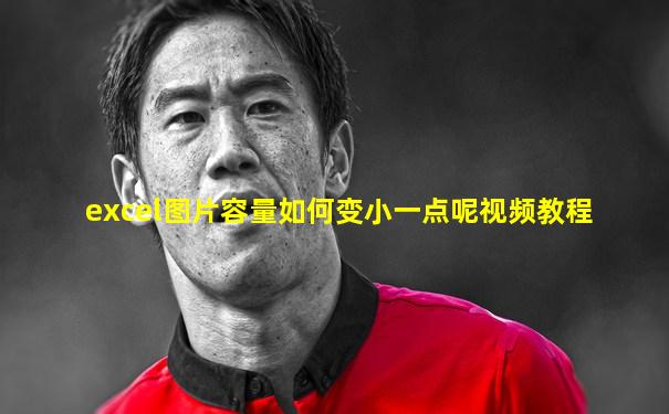 excel图片容量如何变小一点呢视频教程