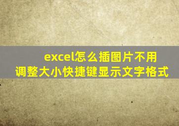 excel怎么插图片不用调整大小快捷键显示文字格式