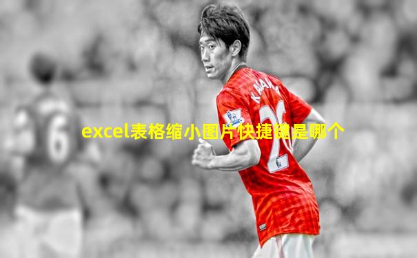 excel表格缩小图片快捷键是哪个