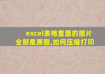 excel表格里面的图片全部是原图,如何压缩打印
