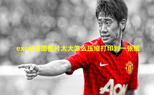excel里面图片太大怎么压缩打印到一张纸