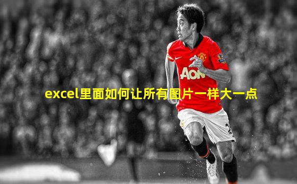 excel里面如何让所有图片一样大一点