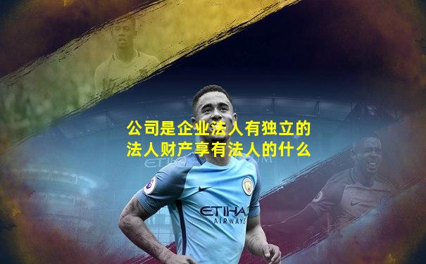 公司是企业法人有独立的法人财产享有法人的什么