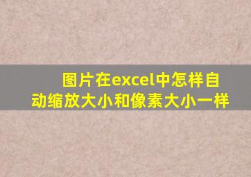 图片在excel中怎样自动缩放大小和像素大小一样