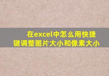 在excel中怎么用快捷键调整图片大小和像素大小