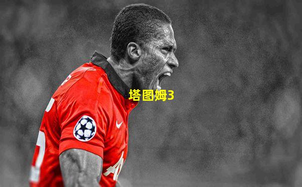 塔图姆3